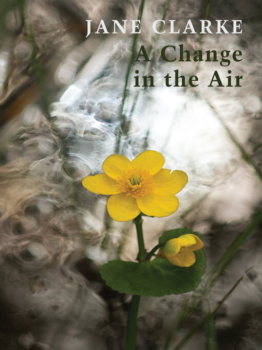 Title details for A Change in the Air by Jane Clarke - Available